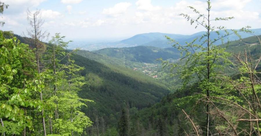 Beskid Śląski:BielskoBiała-KoziaGóra(Stefanka)-Kołowrót-Klimczok-Szyndzielnia - zdjęcie