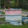 Krajobrazy Belize - cmentarz, Tadeusz Walkowicz