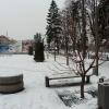 , mokunka