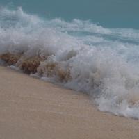 Poranek nad morzem, Tadeusz Walkowicz