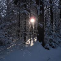 W drodze na Przeł. Beskid, Mariusz Wiśniewski