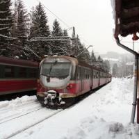, mokunka