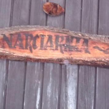 Narciarnia Wisła, mokunka