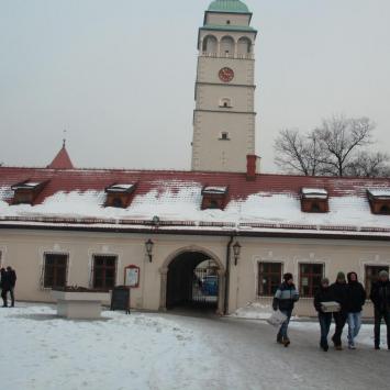 , mokunka
