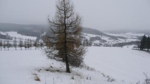 , Krzysztof