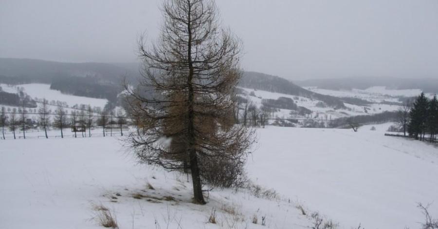 Góry Kaczawskie - zdjęcie