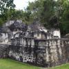 Ruiny Tikal, Tadeusz Walkowicz