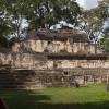 Ruiny Tikal, Tadeusz Walkowicz