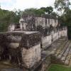 Ruiny Tikal, Tadeusz Walkowicz