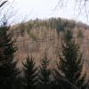 , Krzysztof