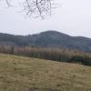 , Krzysztof