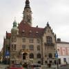 Jawor, Krzysztof Dorota