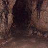 , mokunka