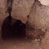 , mokunka