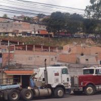 Wyjazd do Copan, Tadeusz Walkowicz