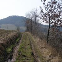 , Krzysztof
