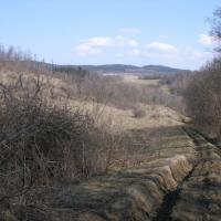 , Krzysztof