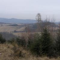 , Krzysztof