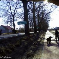, Dominik Dobros