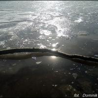 , Dominik Dobros