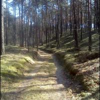 , Dominik Dobros