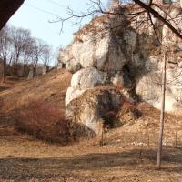 , mokunka