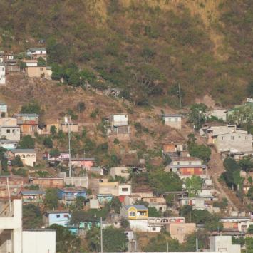 Stolica Tegucigalpa o poranku, Tadeusz Walkowicz