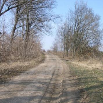 , Krzysztof