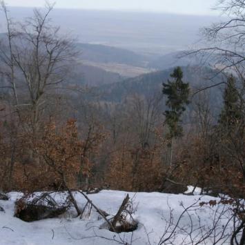 , Krzysztof