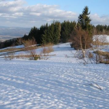, Krzysztof