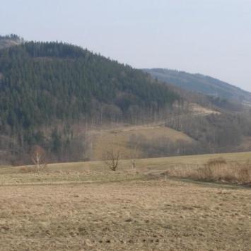 , Krzysztof