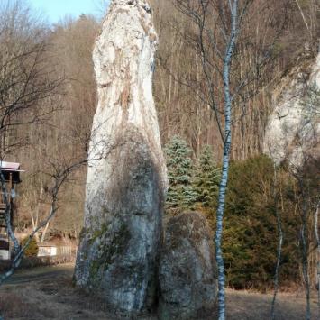 Igła Deotymy, mokunka