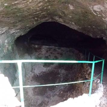 , mokunka