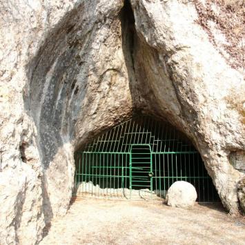 , mokunka