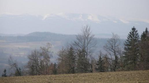, Krzysztof