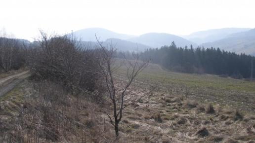, Krzysztof
