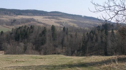 , Krzysztof