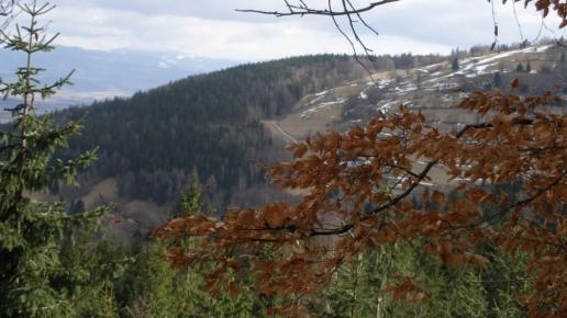 , Krzysztof