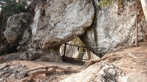, mokunka