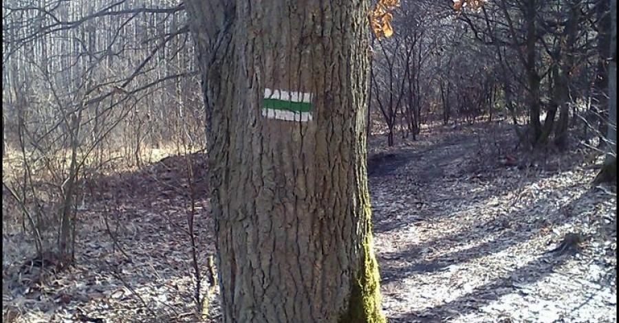 na szlaku Bydgoszcz - Chmielniki (pieszy, zielony) - zdjęcie