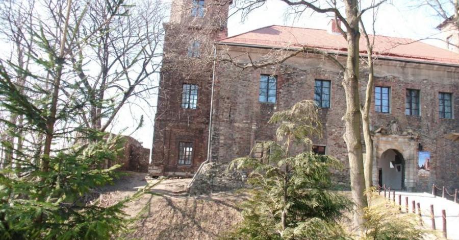 Toszek zamek i Pławniowice pałac - zdjęcie