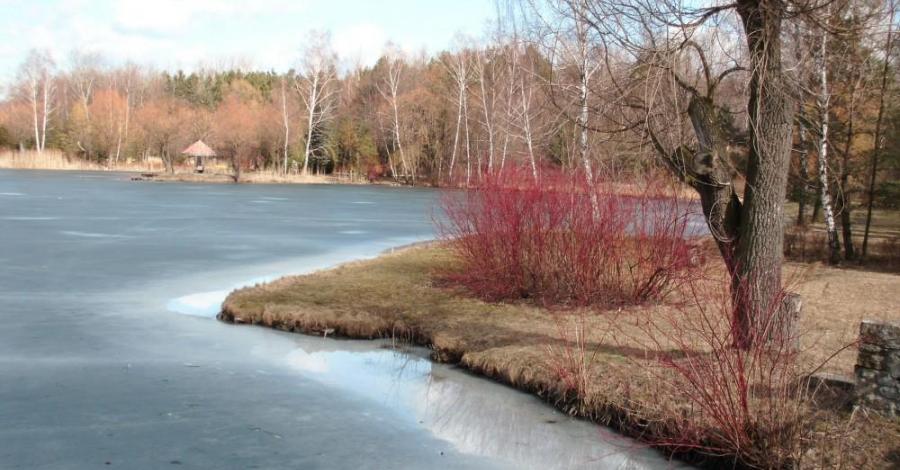 Gdzie park z lasem się splata... - zdjęcie