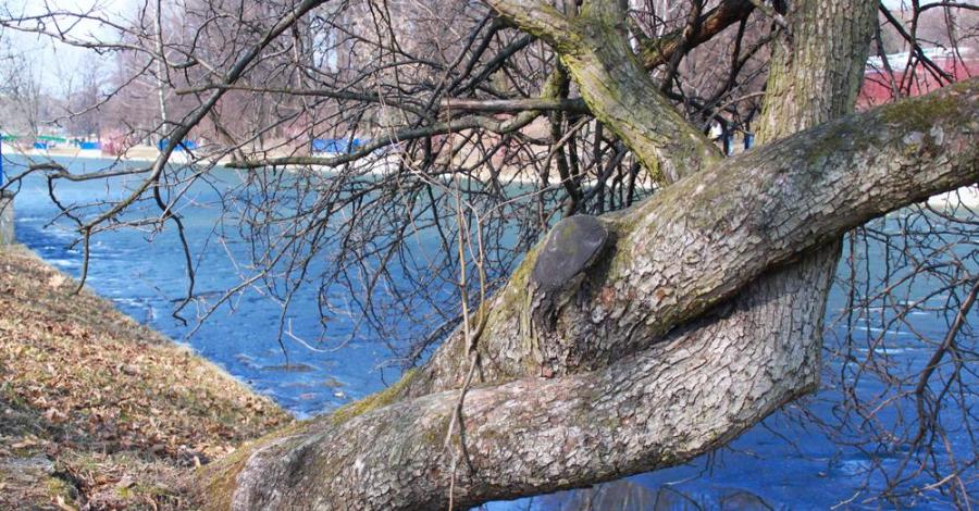 Wiosenny Park Chorzowski - zdjęcie