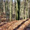Dookoła jeziorka Szmaragdowego - wracamy do Zajazdu Szmaragdowego, Zbyszek Mat
