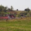 Widoki z ruin Łutowca, Tadeusz Walkowicz