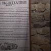 fragment ekspozycji w sali neolitu, Sylwester Jędrzejczak
