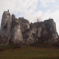 Strażnica Przewodziszowice, Tadeusz Walkowicz