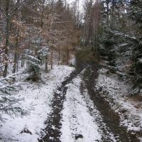 , Krzysztof