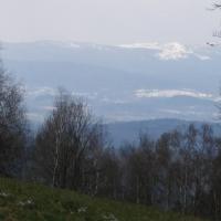 , Krzysztof