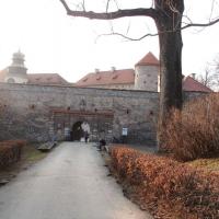 , mokunka